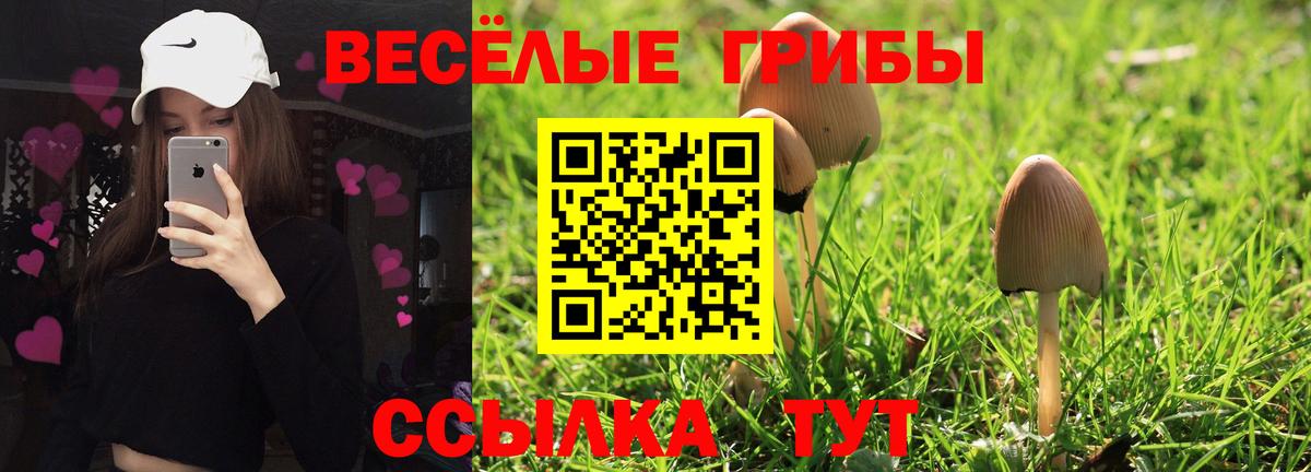 Галлюциногенные грибы MAGIC MUSHROOMS Аша