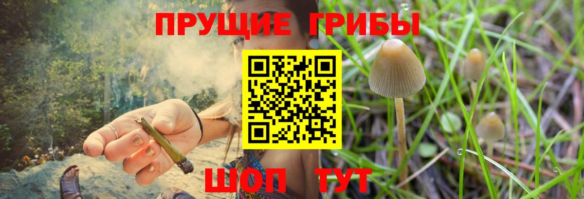 Псилоцибиновые грибы ЛСД  Вход с VPN  Аша  Галлюциногенные грибы MAGIC MUSHROOMS 